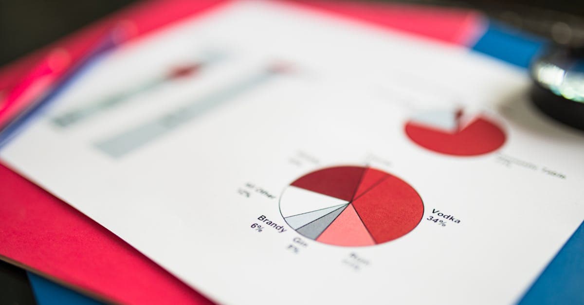 Data Audit