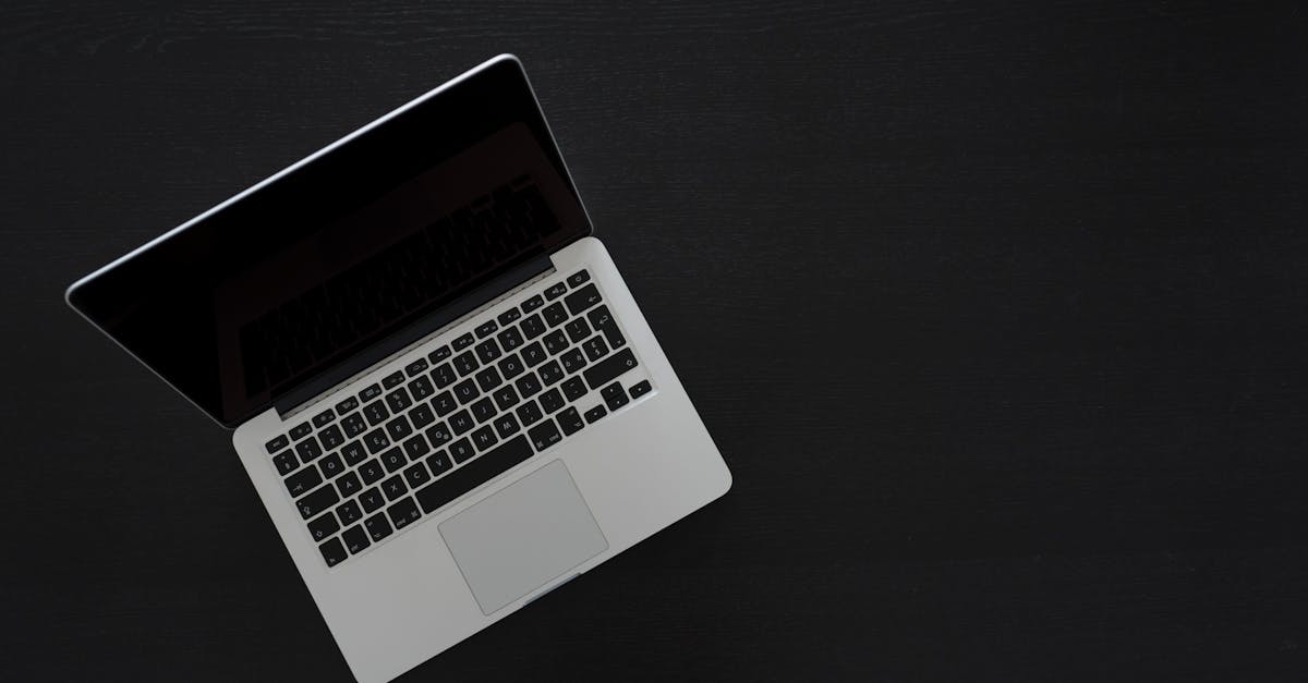 WordPress & Elementor for Beginners